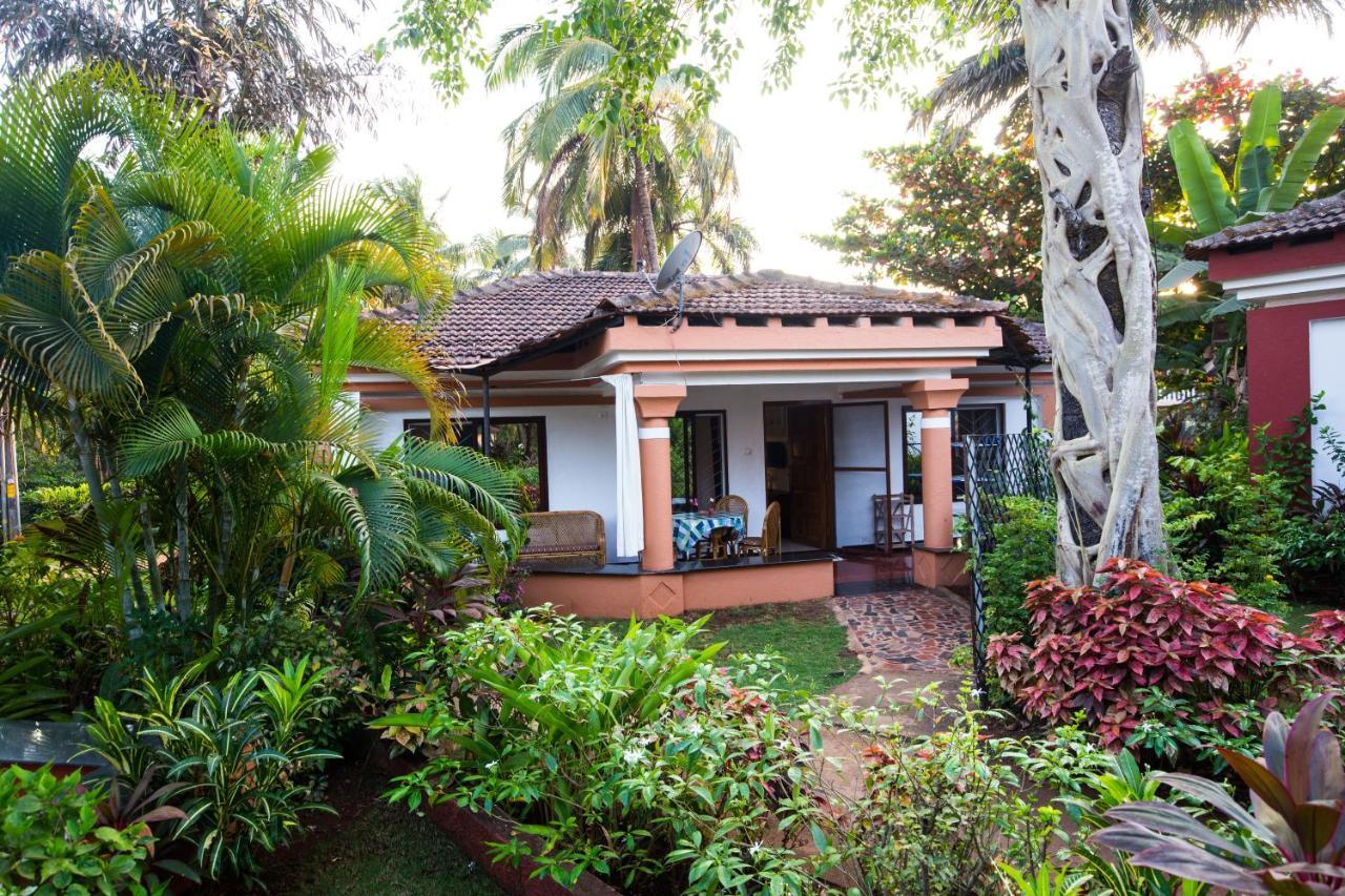 Villa Sunflower 卡维洛瑟姆 外观 照片