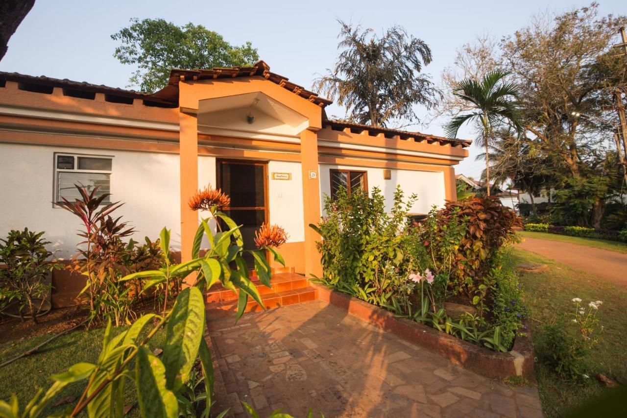 Villa Sunflower 卡维洛瑟姆 外观 照片